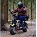 Электроскутер Citycoco Siberton PRO 2500W