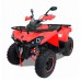 Квадроцикл Motax ATV Grizlik 200 ULTRA 