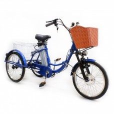 Электровелосипед GreenCamel Trike-20 (V 48 Ah 10)